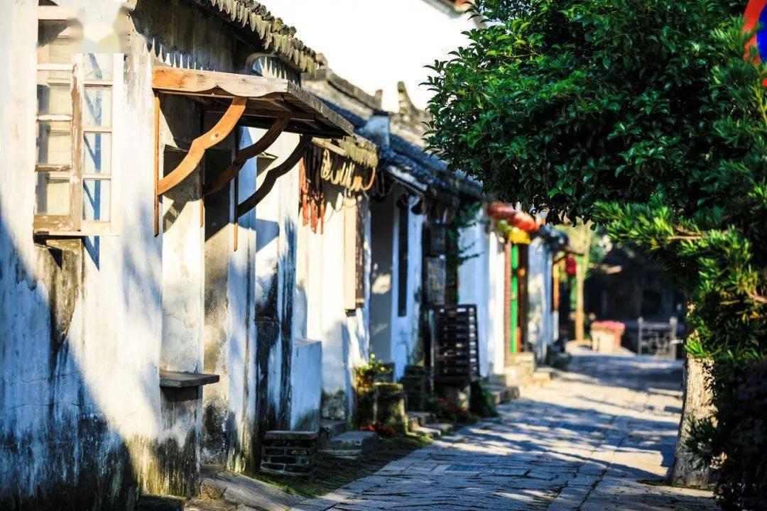“大陆第一美女”，嫁大16岁名导，婚后活成无数人羡慕的江湖人